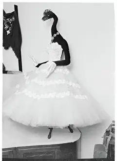 Animal Head Mannequin in Evening Dress