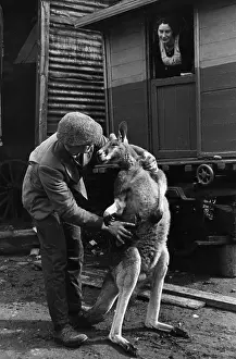 Circus Prints: Animal Lover