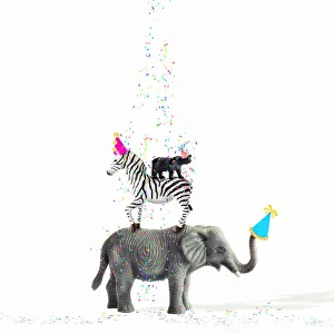 Elephant Gallery: Animal Party