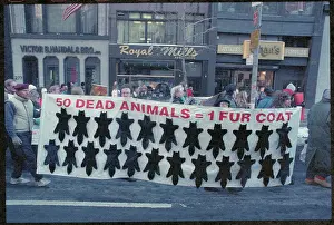 5th Avenue Prints: Animal Rights Activists Protesting with Sign