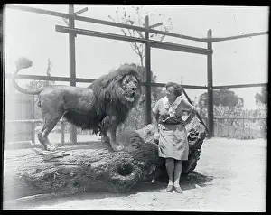 Animal Trainer Posing Next to a Lion
