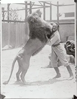Animal Trainer Wrestling a Lion