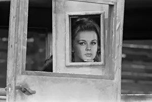 Ann-Margret Looking Thru Window