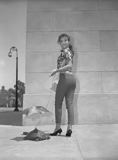 Tortoise Prints: Ann-Margret Walking Tortoise