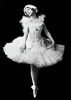 Elegance in Motion: A Ballet Journey: Anna Pavlova as The Dying Swan