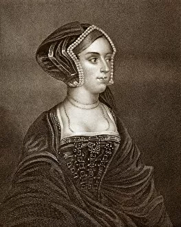 Images Dated 7th March 2011: Anne Boleyn by Hans Holbein (Sepia Toned)