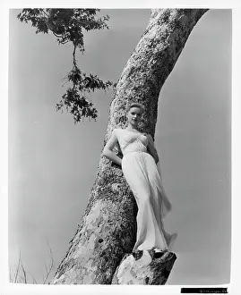 Lac0041 Prints: Anne Francis