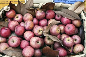 Stores Prints: Annurca, local type of apple, in a basket, Naples, Campania, Italy, Europe