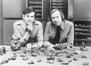 Anthropologists with Skeleton Fragments on a Table