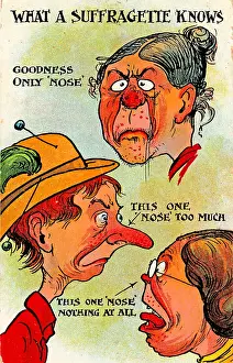Anti-Suffrage Noses