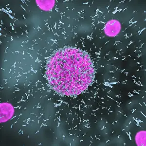 Defense Prints: Antibodies attacking virus particles, illustration