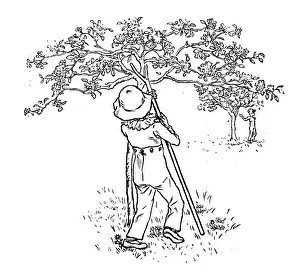Prints of Antique children spelling book illustrations: Tree Antique Children Book Illustration Prints: Antique children spelling book illustrations: Tree