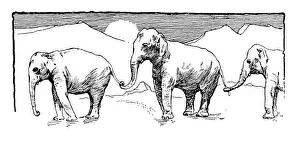 Waiting In Line Prints: Antique childrens book comic illustration: elephants