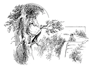 Police Force Prints: Antique childrens book comic illustration: girl on tree