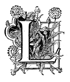 Typescript Prints: Antique childrens book comic illustration: Ornate letter L