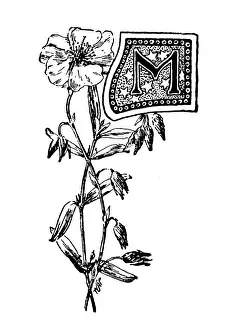 Antique childrens book comic illustration: Ornate letter M