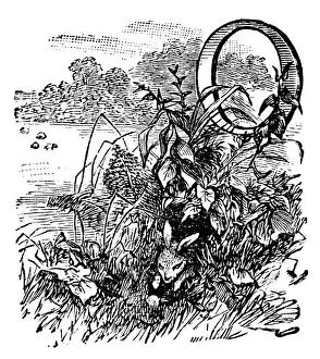Letter O Prints: Antique childrens book comic illustration: Ornate letter O