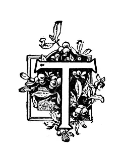 Berry Prints: Antique childrens book comic illustration: Ornate letter T