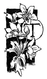 Antique childrens book comic illustration: Ornate letter T