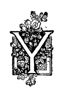 Antique childrens book comic illustration: Ornate letter Y