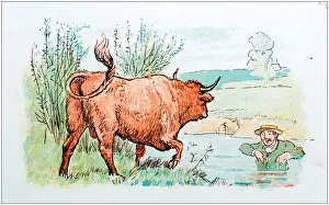 Antique color illustration by Randolph Caldecott: Man attacked by bull