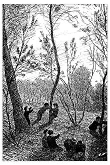 Images Dated 11th February 2016: Antique illustration of cockchafer hunting in the woods