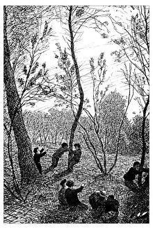 Images Dated 11th February 2016: Antique illustration of cockchafer hunting in the woods