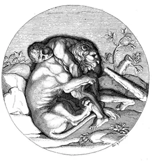 Club Prints: Antique illustration of Heracles fighting with the Nemean lion