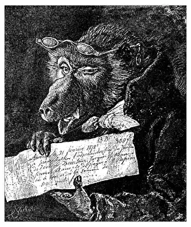 Eyeglasses Prints: Antique illustration of humanized beast holding a paper