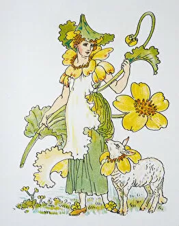Images Dated 13th November 2017: Antique illustration of humanized flowers and plants: Marsh Marigold