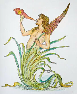 Images Dated 13th November 2017: Antique illustration of humanized flowers and plants: Triton spear flower