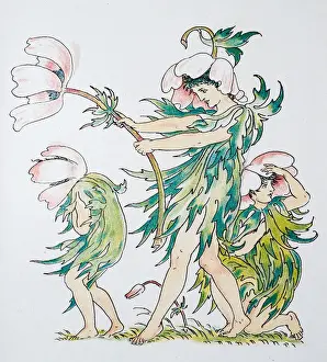 Antique illustration of humanized flowers and plants: Anemones Windflowers