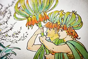 Prints of Antique illustration of humanized flowers and plants: Black knight Humanised Flowers And Plants Prints: Antique illustration of humanized flowers and plants: Black knight