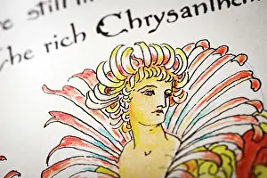 Antique Illustration Of Humanized Flowers And Plant Prints: Antique illustration of humanized flowers and plants: Chrysanthemums