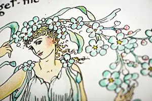 Prints of Antique illustration of humanized flowers and plants: Forget me not Humanised Flowers And Plants Prints: Antique illustration of humanized flowers and plants: Forget me not