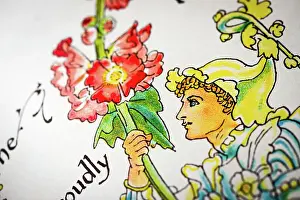 Antique illustration of humanized flowers and plants: Hollyhock
