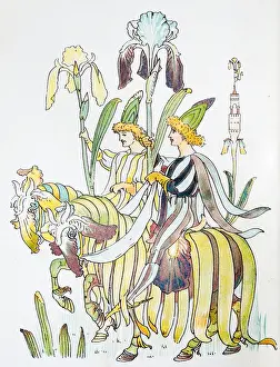 Antique illustration of humanized flowers and plants: Iris