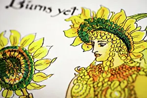 Antique Illustration Of Humanized Flowers And Plant Prints: Antique illustration of humanized flowers and plants: Sunflower