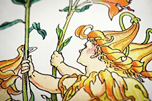 Prints of Antique illustration of humanized flowers and plants: Torches Humanised Flowers And Plants Prints: Antique illustration of humanized flowers and plants: Torches