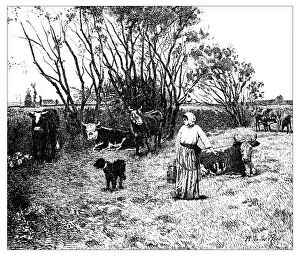 Art Illustrations Gallery: Antique illustration of landscape with animals and farmer