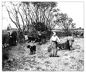 Images Dated 11th February 2016: Antique illustration of landscape with animals and farmer