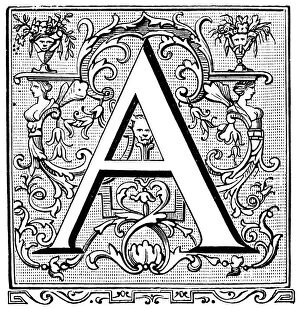 Images Dated 4th April 2016: Antique illustration of ornate letter A