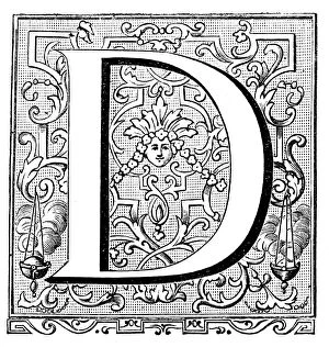 Images Dated 23rd March 2016: Antique illustration of ornate letter D