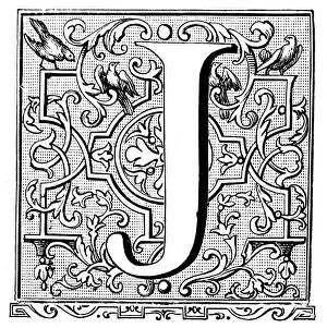 Images Dated 6th April 2016: Antique illustration of ornate letter J
