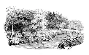 Antique illustration by Randolph Caldecott: Hunting scene