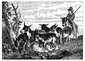 Images Dated 11th February 2016: Antique illustration of shepherd with herd of donkeys