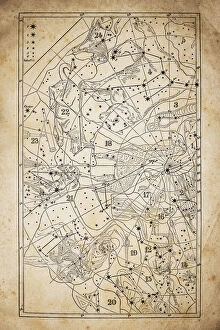 Medium Group Of Objects Gallery: Antique illustration on yellow aged paper: zodiac astrology constellations (series 1)