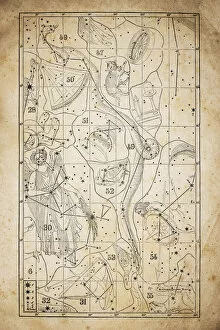 Images Dated 4th December 2015: Antique illustration on yellow aged paper: zodiac astrology constellations (series 6)