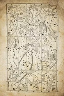 Images Dated 4th December 2015: Antique illustration on yellow aged paper: zodiac astrology constellations (series 4)