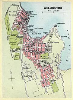 Victorian Prints: Antique map, City plan of Wellington, New Zealand, 1890s, 19th Century